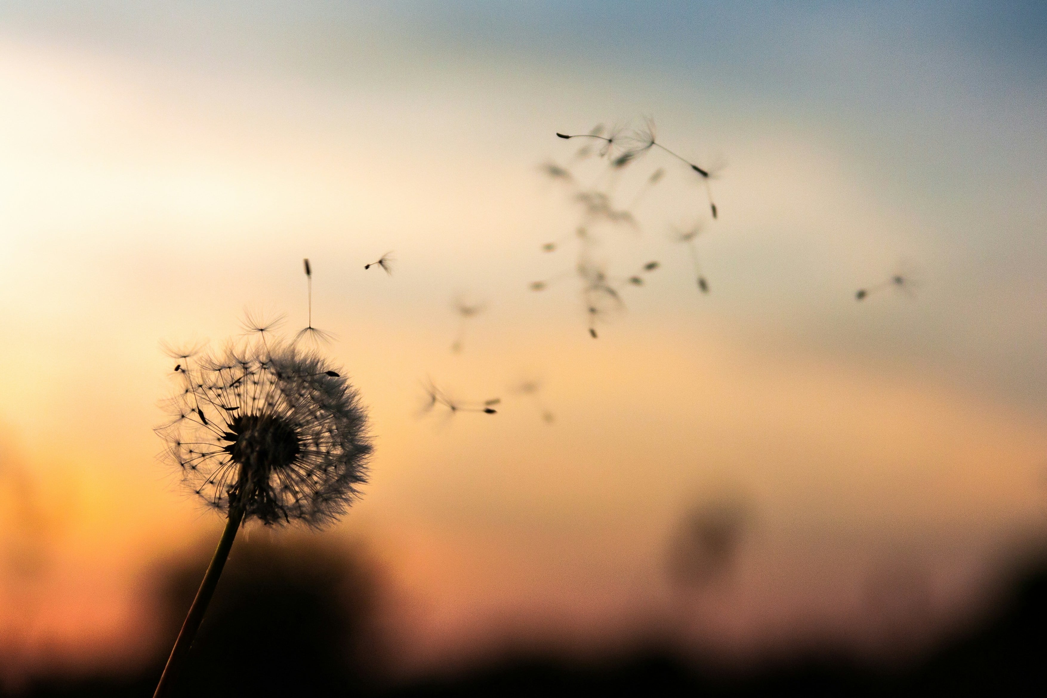 When Everything Becomes Abundant, Eventually Nothing Is